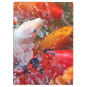 Falln Ansammlung Koi Klemmbrett (Rückseite)