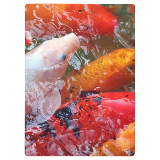 Falln Ansammlung Koi Klemmbrett (Rückseite)