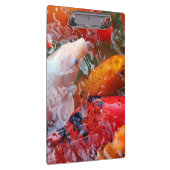 Falln Ansammlung Koi Klemmbrett (Rechts)