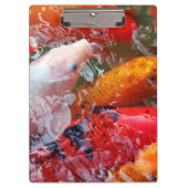 Falln Ansammlung Koi Klemmbrett (Vorderseite)