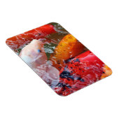 Falln Ansammlung Koi Magnet (Rechte Seite)