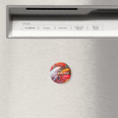 Falln Ansammlung Koi Magnet (In Situ (Geschirrspüler))