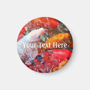 Falln Ansammlung Koi Magnet
