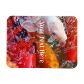 Falln Ansammlung Koi Magnet (Horizontal)