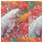 Falln Ansammlung Koi Stoff (Nahaufnahme)