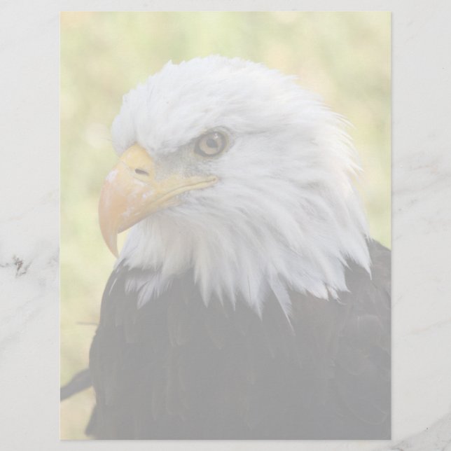 Falln Bald Eagle Liberty (Vorderseite)