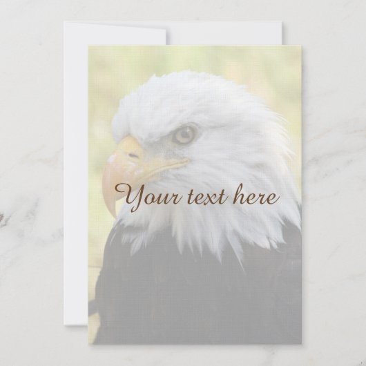 Falln Bald Eagle Liberty (Vorderseite)