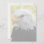 Falln Bald Eagle Liberty (Rückseite)