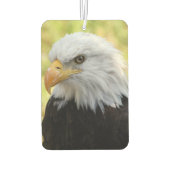 Falln Bald Eagle Liberty Autolufterfrischer (Rückseite)
