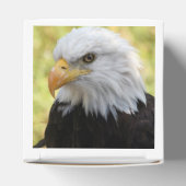 Falln Bald Eagle Liberty Geschenkschachtel (Oben)