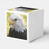 Falln Bald Eagle Liberty Geschenkschachtel (Rückseite)