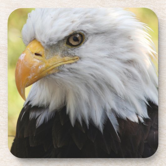 Falln Bald Eagle Liberty Getränkeuntersetzer (Vorderseite)