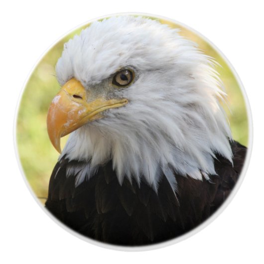 Falln Bald Eagle Liberty Keramikknauf (Vorderseite)