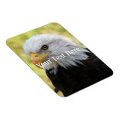 Falln Bald Eagle Liberty Magnet (Rechte Seite)