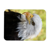 Falln Bald Eagle Liberty Magnet (Horizontal)