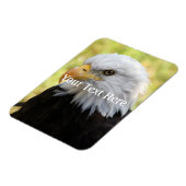 Falln Bald Eagle Liberty Magnet (Linke Seite)