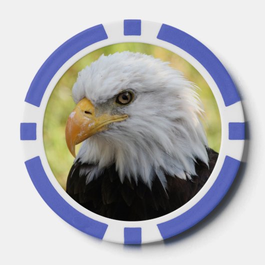 Falln Bald Eagle Liberty Pokerchips (Vorderseite)