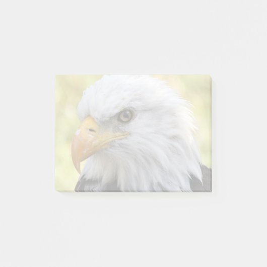 Falln Bald Eagle Liberty Post-it Klebezettel (Vorderseite)