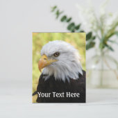 Falln Bald Eagle Liberty Postkarte (Stehend Vorderseite)