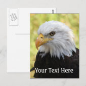Falln Bald Eagle Liberty Postkarte (Vorne/Hinten)