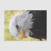 Falln Bald Eagle Liberty Seidenpapier (Vorderseite)