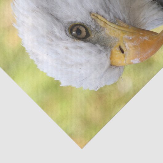 Falln Bald Eagle Liberty Seidenpapier (Ausschnitt)