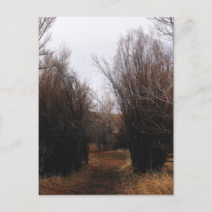 Falln Bannack Überwuchterung Postkarte