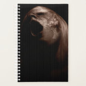 Falln Break Free Planer (Vorderseite)