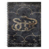 Falln Buch Sin (Vorderseite)