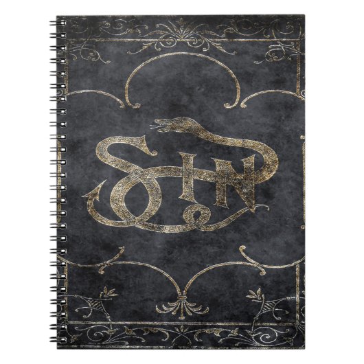 Falln Buch Sin (Vorderseite)