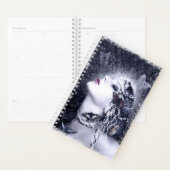 Falln Butterfly Planer (Anzeige)