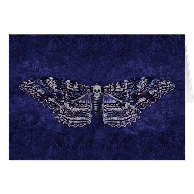 Falln Deathshead Moth (Vorderseite (Horizontal))