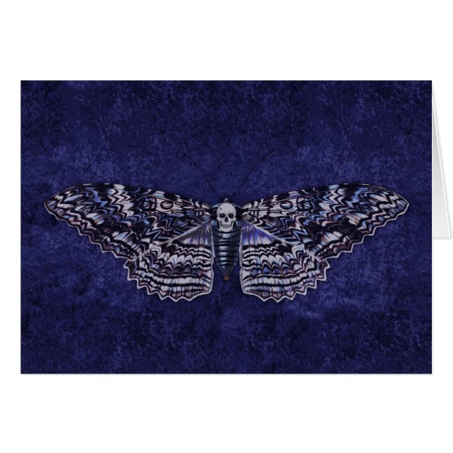 Falln Deathshead Moth (Vorderseite (Horizontal))