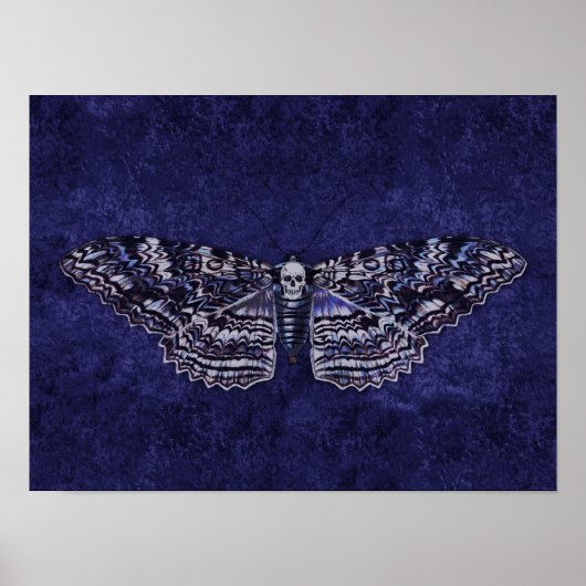 Falln Deathshead Moth Poster (Vorne)