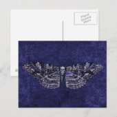 Falln Deathshead Moth Postkarte (Vorne/Hinten)
