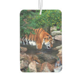 Falln Drink Tiger Autolufterfrischer (Rückseite)