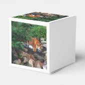 Falln Drink Tiger Geschenkschachtel (Rückseite)