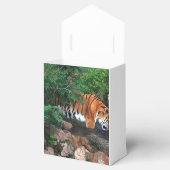 Falln Drink Tiger Geschenkschachtel (Geöffnet)