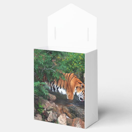 Falln Drink Tiger Geschenkschachtel (Geöffnet)