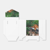 Falln Drink Tiger Geschenkschachtel (Ungefaltet)