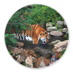 Falln Drink Tiger Keramikknauf
