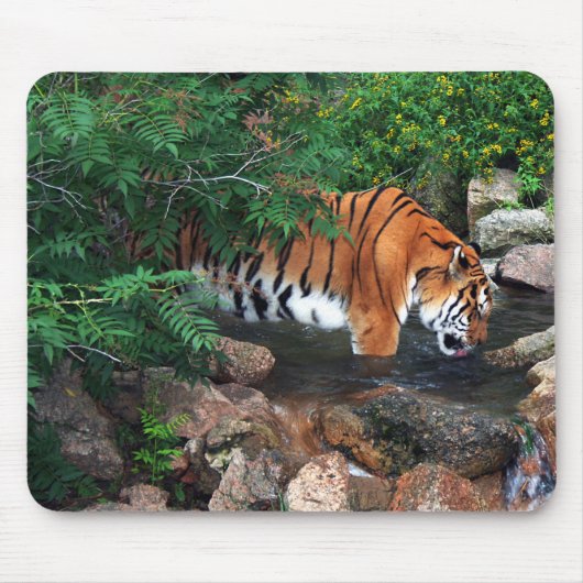 Falln Drink Tiger Mousepad (Vorne)