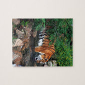 Falln Drink Tiger Puzzle (Horizontal)
