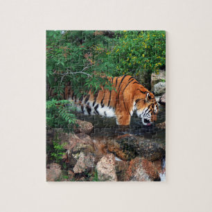 Falln Drink Tiger Puzzle