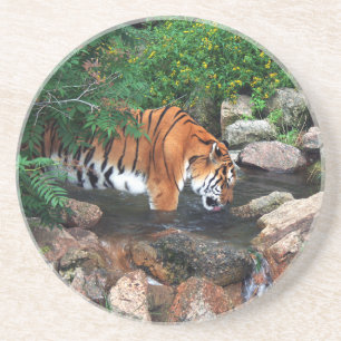 Falln Drink Tiger Untersetzer