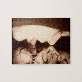 Falln Embrace Puzzle (Horizontal)