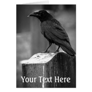 Falln fand eine Feder