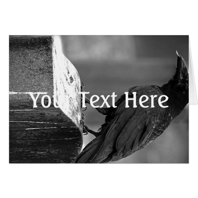 Falln fand eine Feder (Vorderseite (Horizontal))