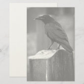 Falln fand eine Feder Briefpapier (Vorne/Hinten)