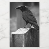 Falln fand eine Feder Lebensmitteletikett (Einzelnes Label)